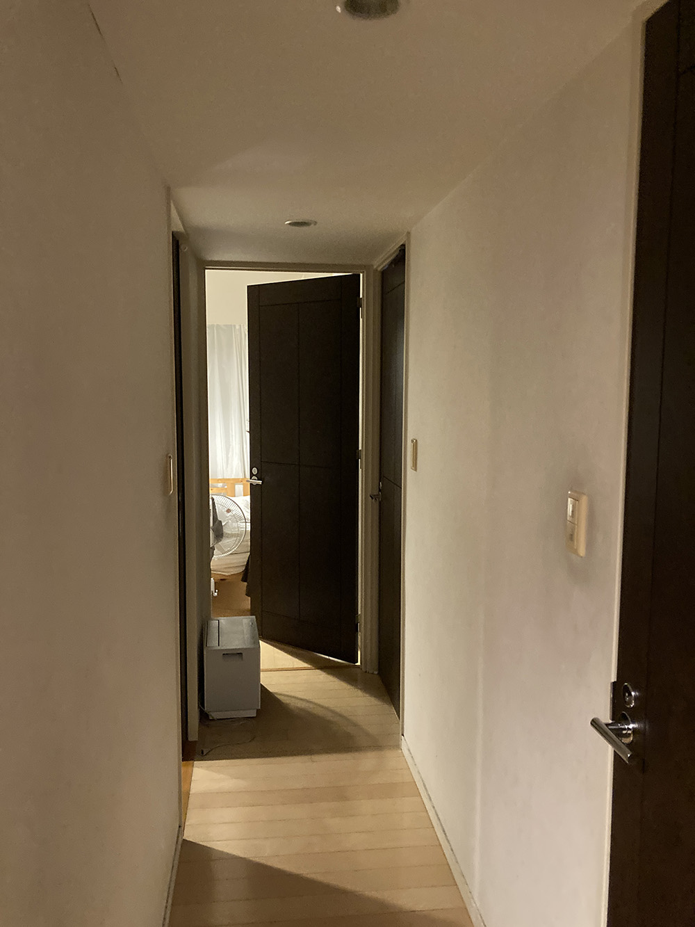 施工前のクロス